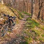 Nr 23, Typ A, Blauvogel, Hasselfelde, Harz * Hasselfelde