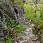 Nr 23, Typ A, Blauvogel, Hasselfelde, Harz * Hasselfelde