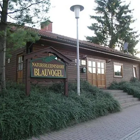 Nr 23, Typ A, Blauvogel, Hasselfelde, Harz *