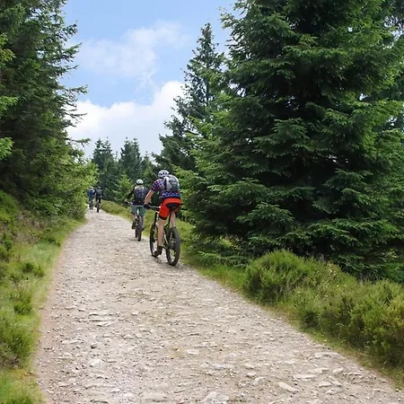 Ferienhaus Nr 23, Typ A, Blauvogel, Hasselfelde, Harz Hasselfelde