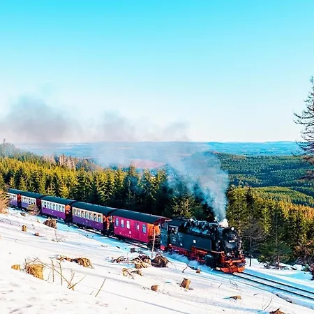 Ferienhaus Nr 23, Typ A, Blauvogel, Hasselfelde, Harz