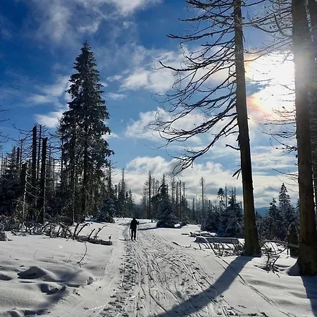 Nr 23, Typ A, Blauvogel, Hasselfelde, Harz *
