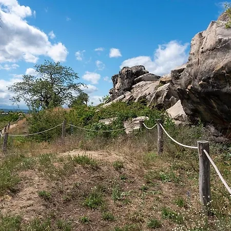 Nr 23, Typ A, Blauvogel, Hasselfelde, Harz Ferienhaus Hasselfelde