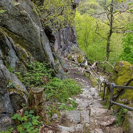 Nr 23, Typ A, Blauvogel, Hasselfelde, Harz * Hasselfelde
