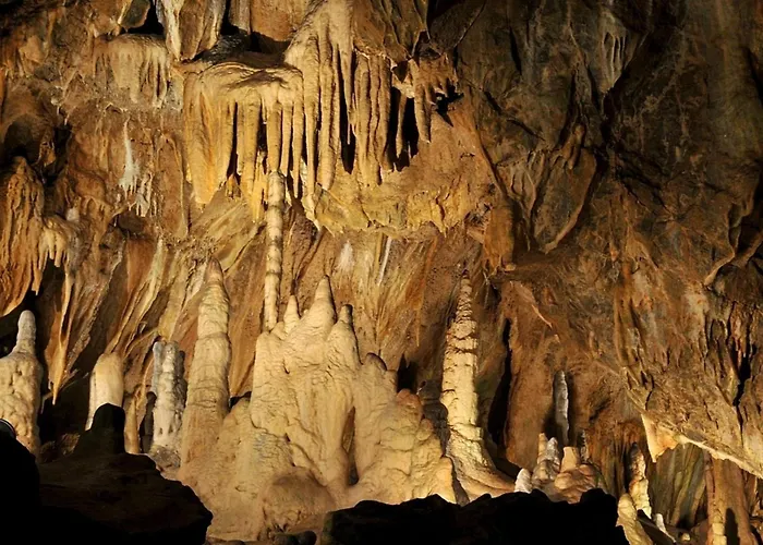 Nr 23, Typ A, Blauvogel, Hasselfelde, Harz