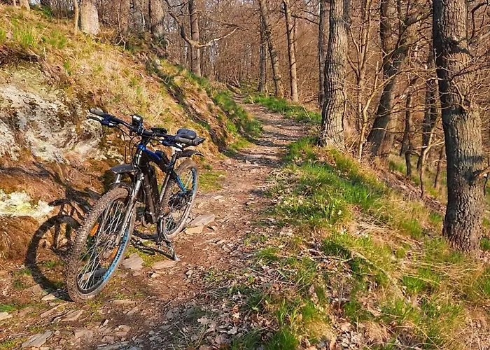 Nr 23, Typ A, Blauvogel, Hasselfelde, Harz * Hasselfelde