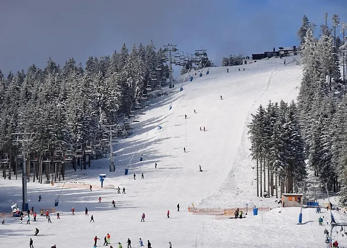 Ferienhaus Nr 23, Typ A, Blauvogel, Hasselfelde, Harz *