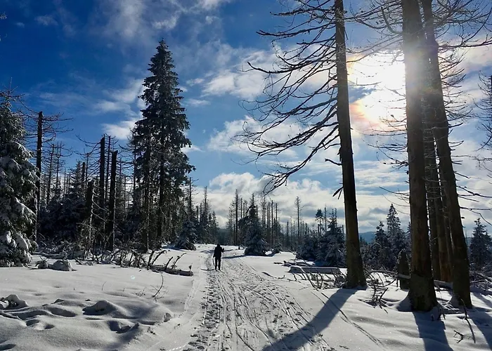 Nr 23, Typ A, Blauvogel, Hasselfelde, Harz *