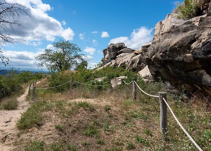 Nr 23, Typ A, Blauvogel, Hasselfelde, Harz Casa vacanze Hasselfelde