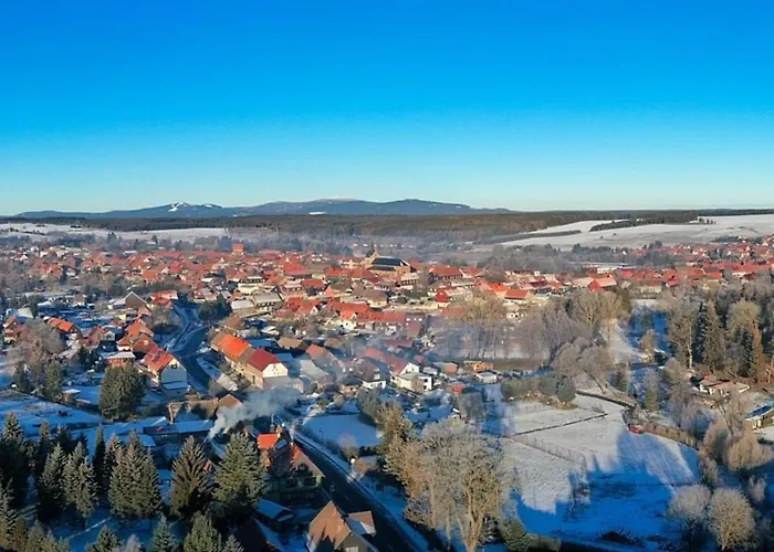Nr 23, Typ A, Blauvogel, Hasselfelde, Harz *