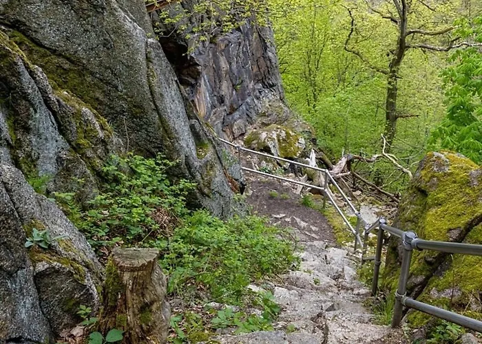 Nr 23, Typ A, Blauvogel, Hasselfelde, Harz * Hasselfelde